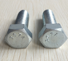 ASTM F2281 Bolts